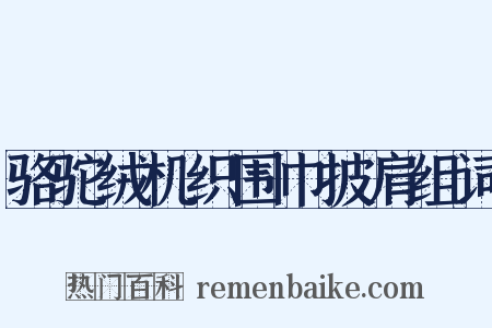 骆驼绒机织围巾披肩组词是什么意思的图片
